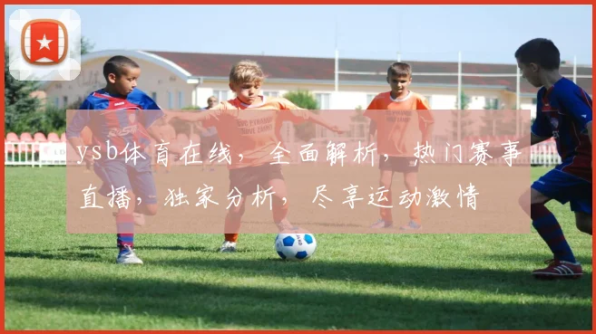 ysb体育在线，全面解析，热门赛事直播，独家分析，尽享运动激情