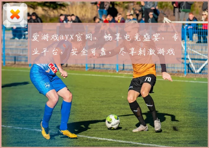 爱游戏ayx官网，畅享电竞盛宴，专业平台，安全可靠，尽享刺激游戏体验，不容错过