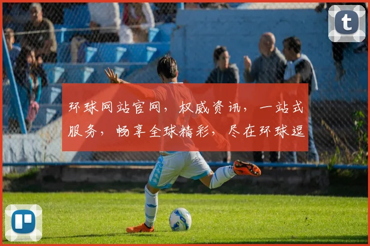 环球网站官网，权威资讯，一站式服务，畅享全球精彩，尽在环球逗逗逗