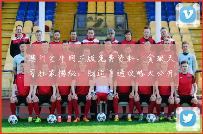 澳门金牛网正版免费资料，贪狼天尊独家揭秘，财运亨通攻略大公开