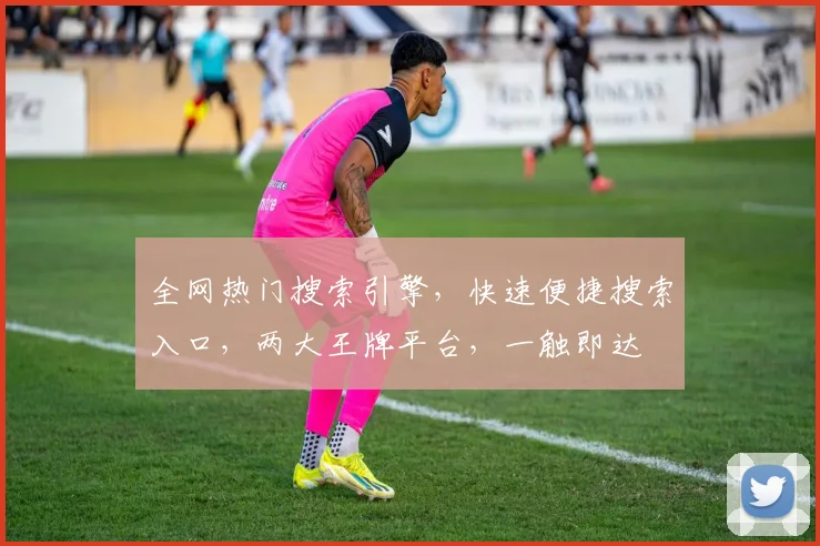 全网热门搜索引擎，快速便捷搜索入口，两大王牌平台，一触即达