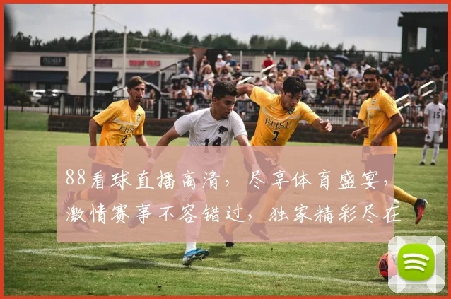 88看球直播高清，尽享体育盛宴，激情赛事不容错过，独家精彩尽在掌握